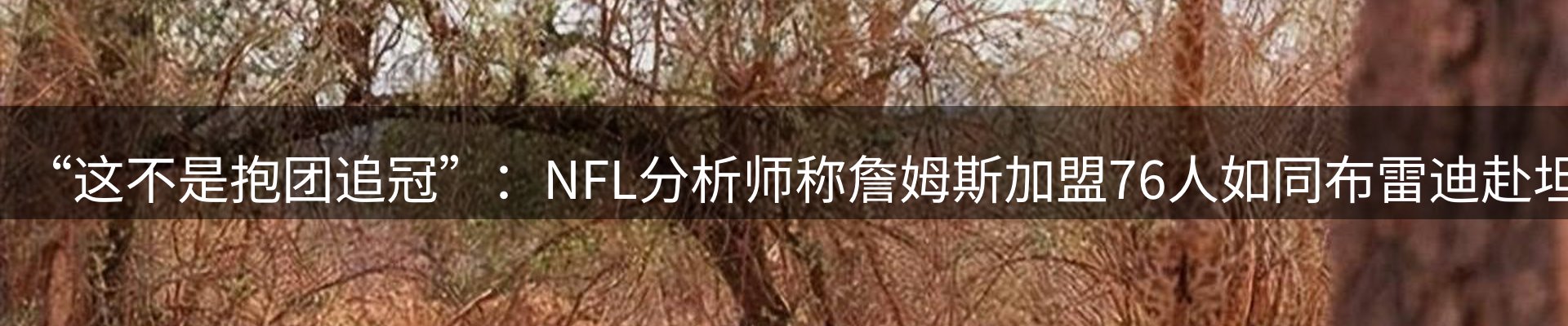 新闻消息