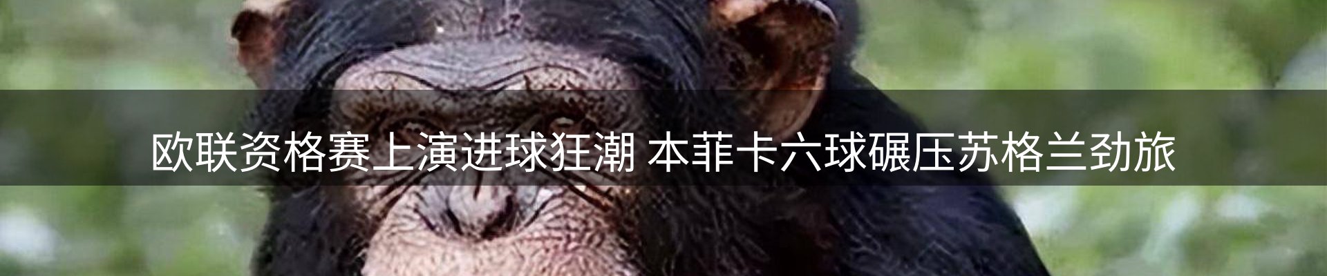 新闻消息