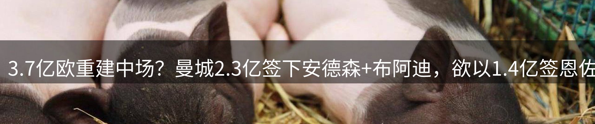 新闻消息