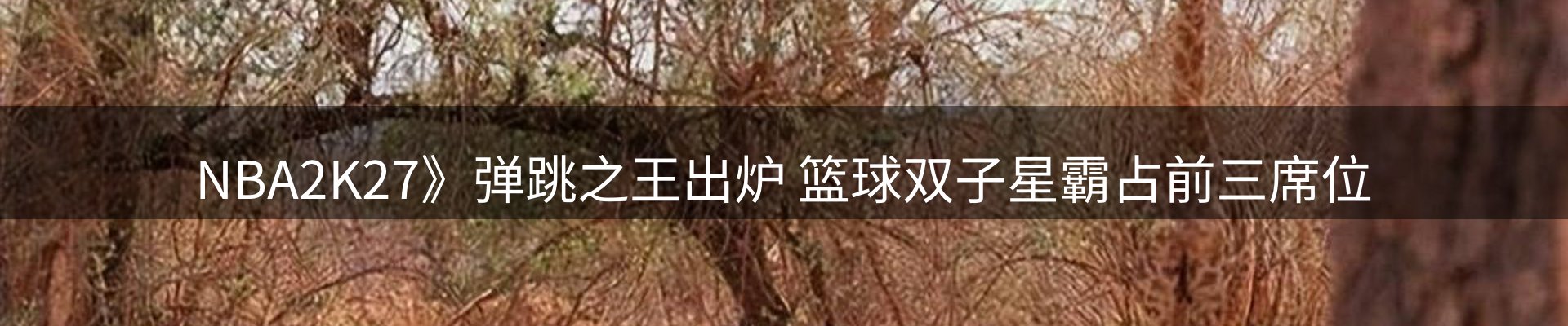 新闻消息